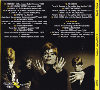 david-bowie-standing-on-own2