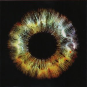 DAVID-BOWIE-EARTHLING-brilliant-live-adventure-box