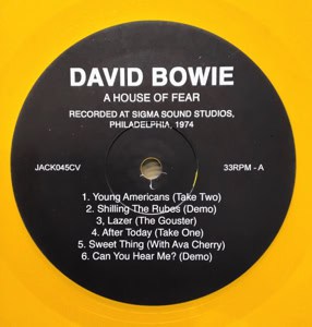 DAVID-BOWIE-A-HOUSE-OF-FEAR copy copy copy copy