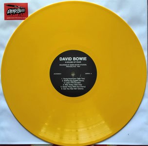 DAVID-BOWIE-A-HOUSE-OF-FEAR copy copy