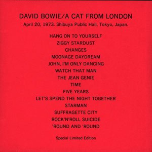 DAVID-BOWIE-cat-from-london copy copy