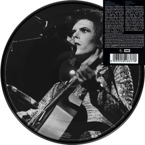 david-bowie-life-on-mars-picture-disc copy