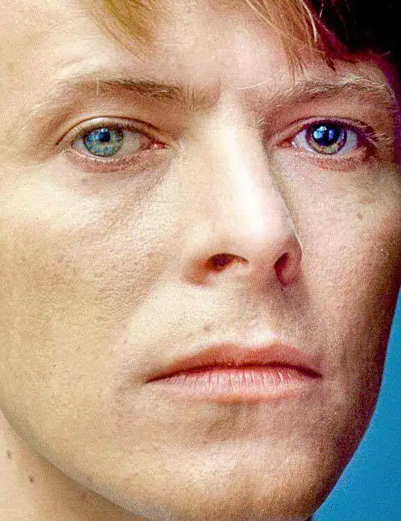 The 20 best David Bowie books