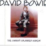 David Bowie 1973-04-20 Tokyo ,Shinjuku Koseinenkin Kaikan Public Hall – The Carrot Coloured Shogun – SQ -7