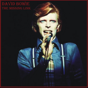 David Bowie 1974-10-16 Detroit ,Michigan Palace - Missing Link - SQ 7