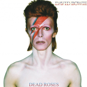 David Bowie 1973-04-12 Nagoya ,Kokusai Tenji Kaikan - Dead Roses - SQ 6+