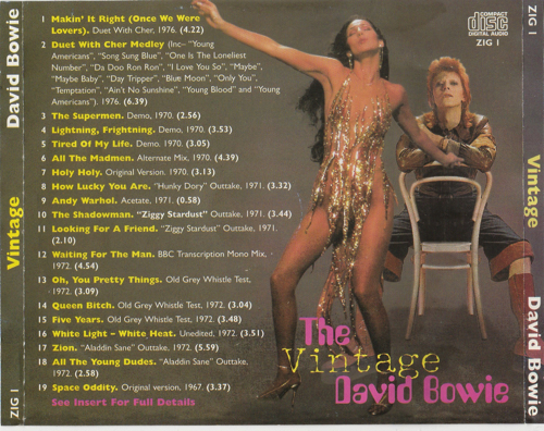 david-bowie-the-vintage-back
