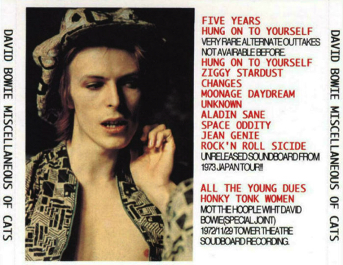  david-bowie-Miscellaneous-Of-Cats-back