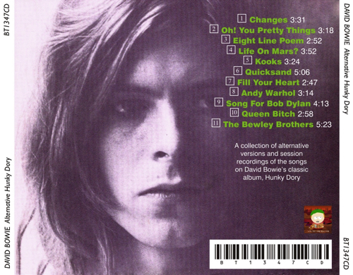 david-alternative-HUNKY-DORY-2