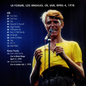 david-bowie-STARDUST-OVER-LOS-ANGELES-BACK-3