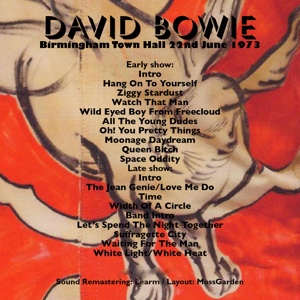 david-bowie-birmingham-1973-06-22-IN copy 