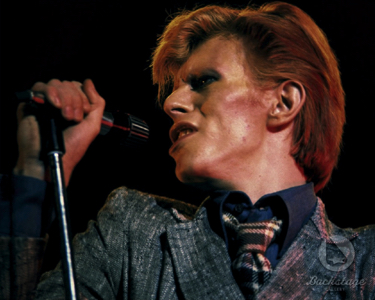  DAVID-BOWIE-STUCK-IN-MY-MINDS