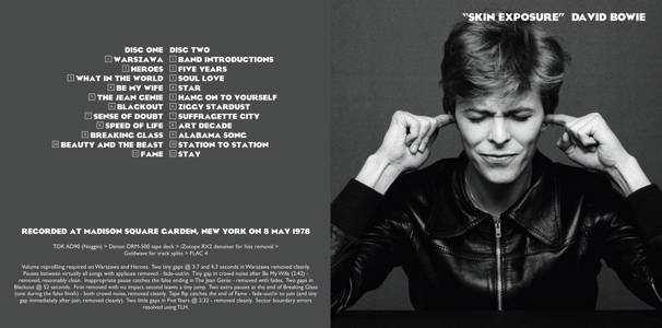  david-bowie-skin-exposure- HUG268CD-frontos 