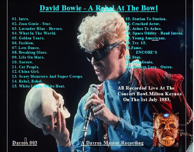  DAVID-BOWIE-A-REBEL-AT-THE-BOWL-Back Cover