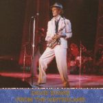 David Bowie 1983-07-02 Milton Keynes ,Milton Keynes Bowl – From The Hinterland –  SQ -8