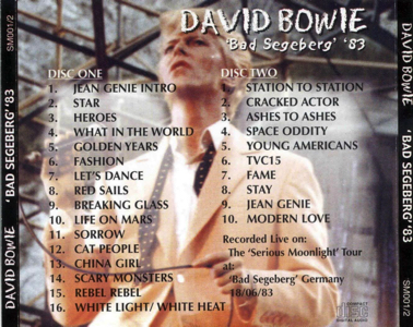 david-bowie-bad-segeberg-1983999