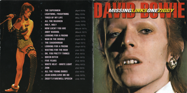 missing-links-one-ziggy-booklet-cover