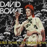 David Bowie ‎1973-04-XX Tokyo ,Shinjuku Koseinenkin Kaikan Public Hall – Like Some Cat From Japan – SQ 7,5