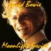 David Bowie 1983 Serious Moonlight Tour