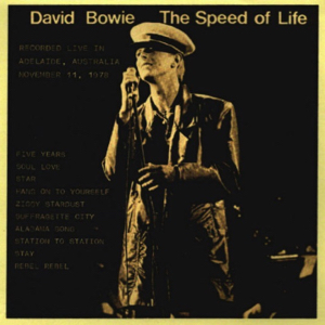 David Bowie 1978-11-11 Adelaide ,Oval Cricket Ground - Speed Of Life (3) - (Vinyl) (Vocal Monitor Board) - SQ 8