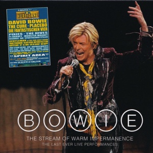 David Bowie 2004-06-25 Scheeßel ,Eichenring – The Stream Of Warm Impermanence – (Hurricane Festival) – SQ 8,5