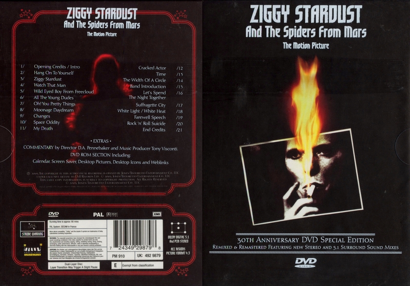tn_David-Bowie_Ziggy-Stardust