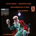 David Bowie 1983-11-24 Wellington ,Athletic Park – Wellington ,NZ ,24-11-1983 – (Source 2) – SQ 8