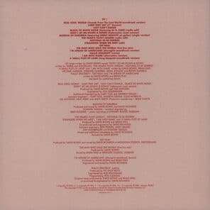 DAVID-BOWIE-TOY-brilliant-live-adventure-box copy copy